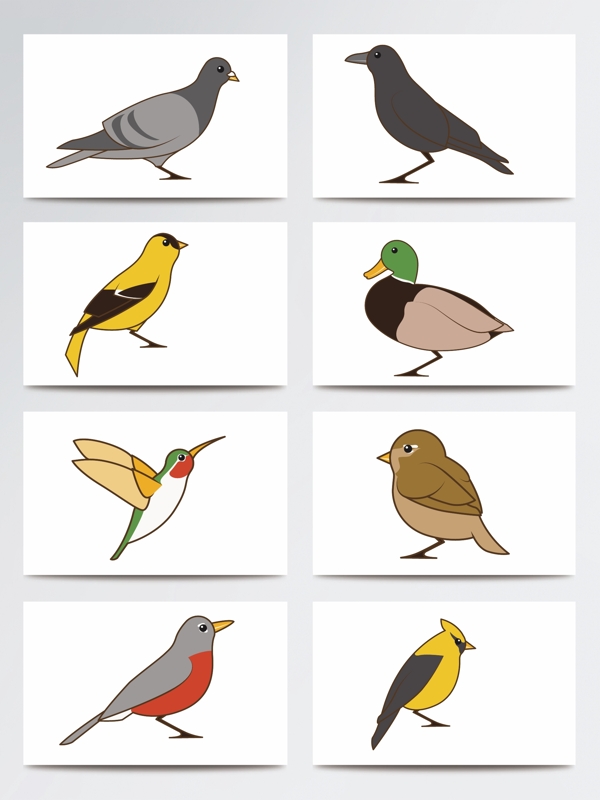 简笔绘画设计可爱鸟类