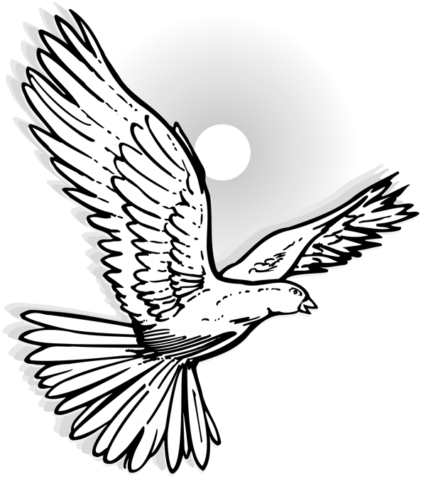 各種鳥類鳥動物矢量素材EPS格式0635