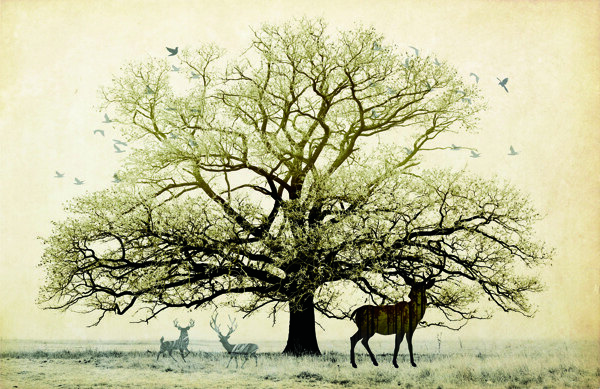 北欧麋鹿幸福树