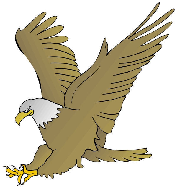 各種鳥類鳥動物矢量素材EPS格式0781