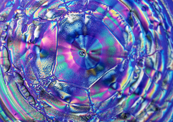水晶狀細胞