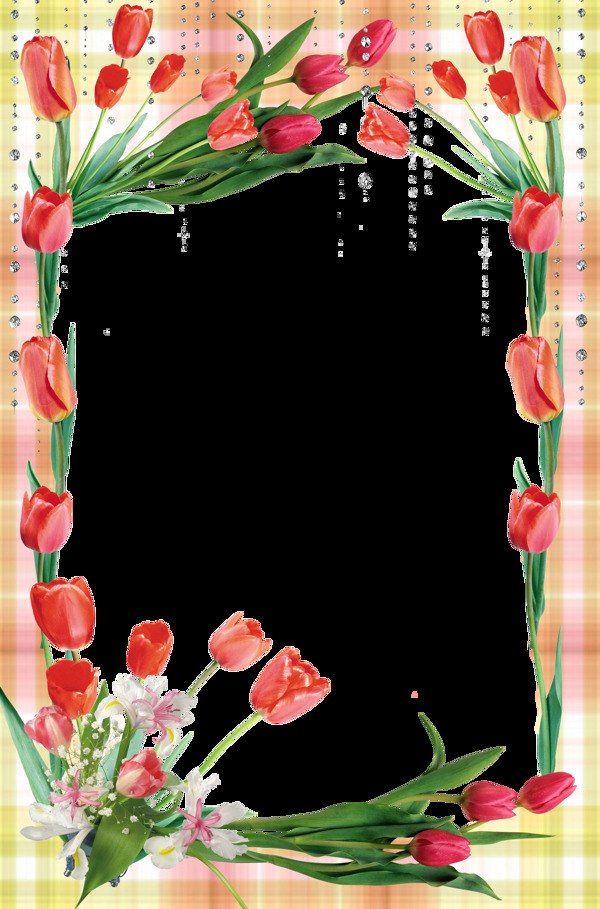 花樣相框圖片