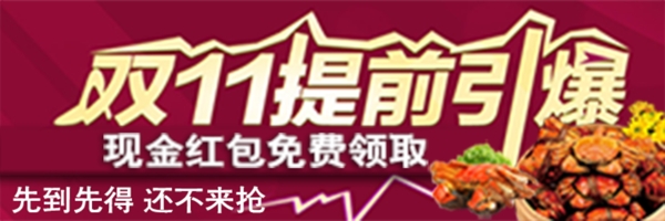 雙十一促銷