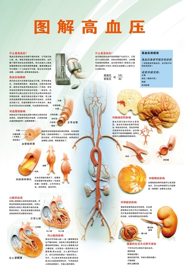 圖解高血壓圖片
