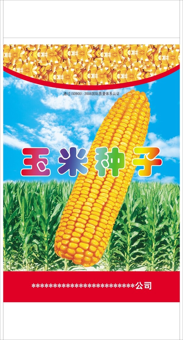 玉米種子