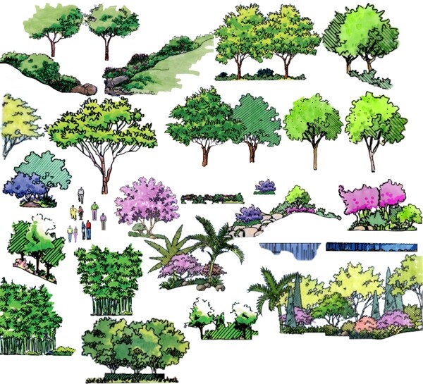植物景觀psd