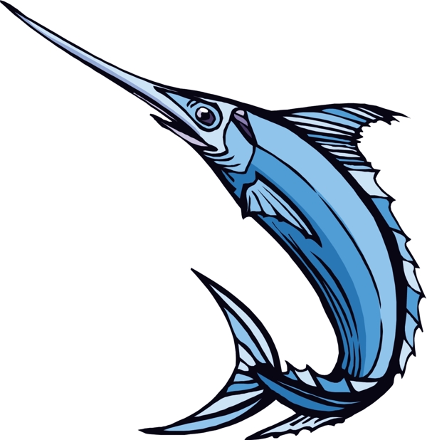 金槍魚圖片