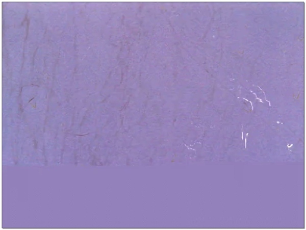 紫色纹理背景视频素材