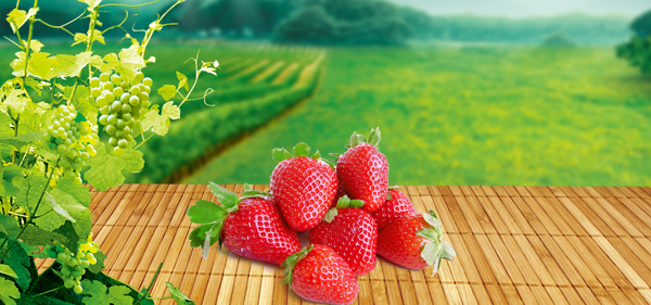 红色草莓绿色草地banner背景素材