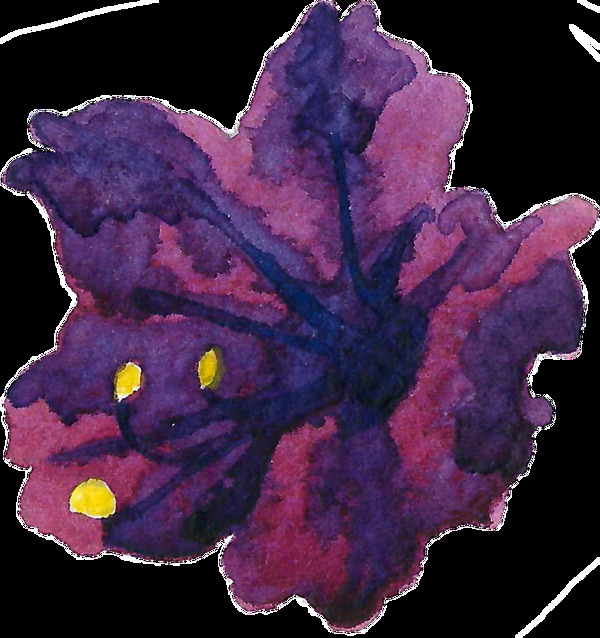 手绘复古典雅紫色花卉PNG透明素材