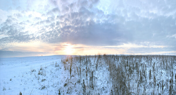 冬日雪景