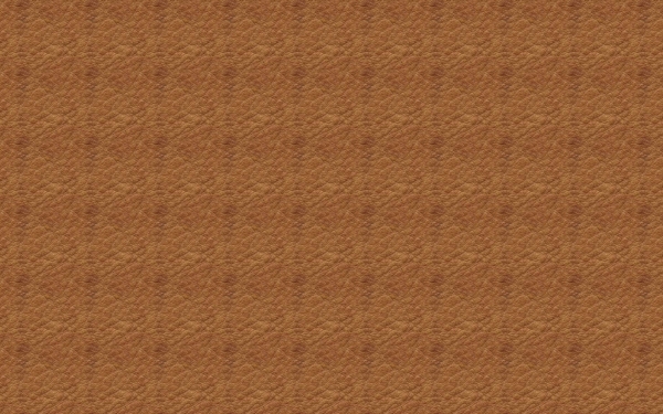 皮革毛皮13