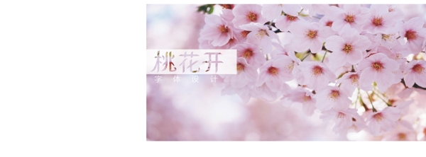 字體