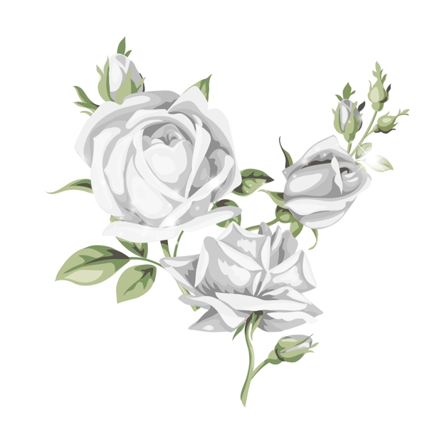 银色玫瑰花浪漫情人节png素材
