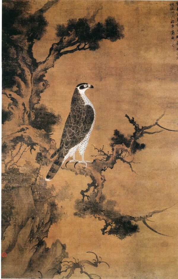 懸崖樹枝上的鳥
