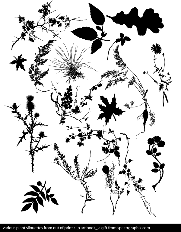 花草樹葉剪影圖片