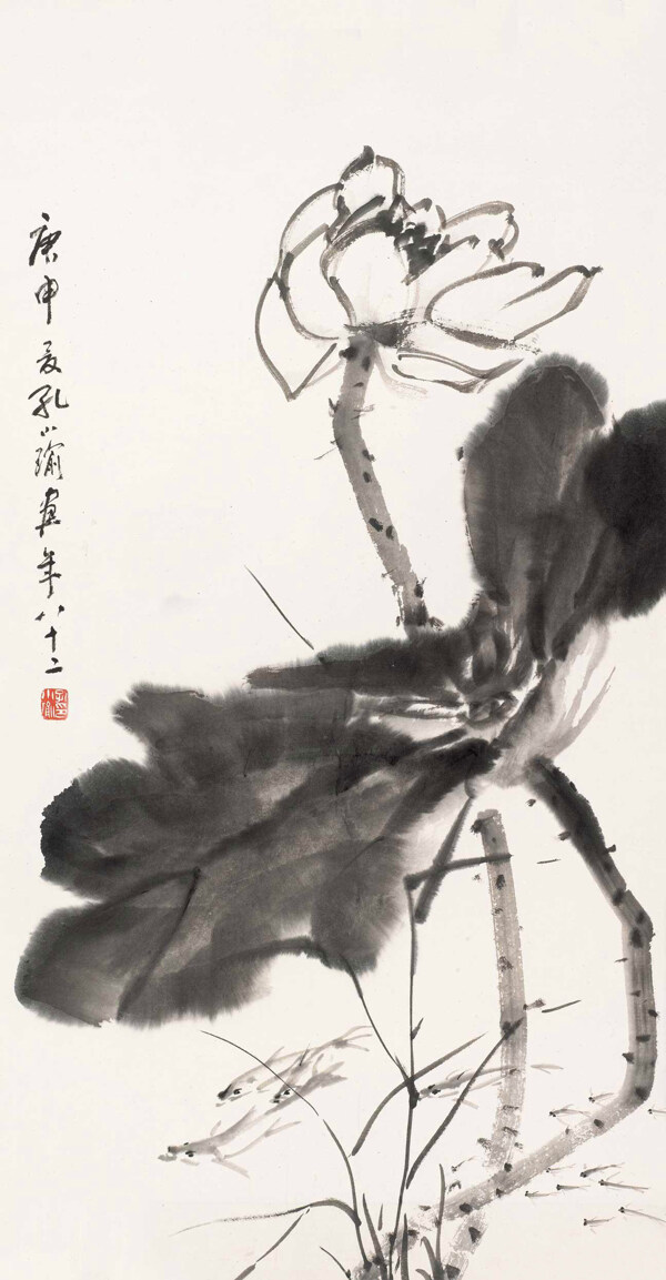 風(fēng)荷魚嬉圖圖片