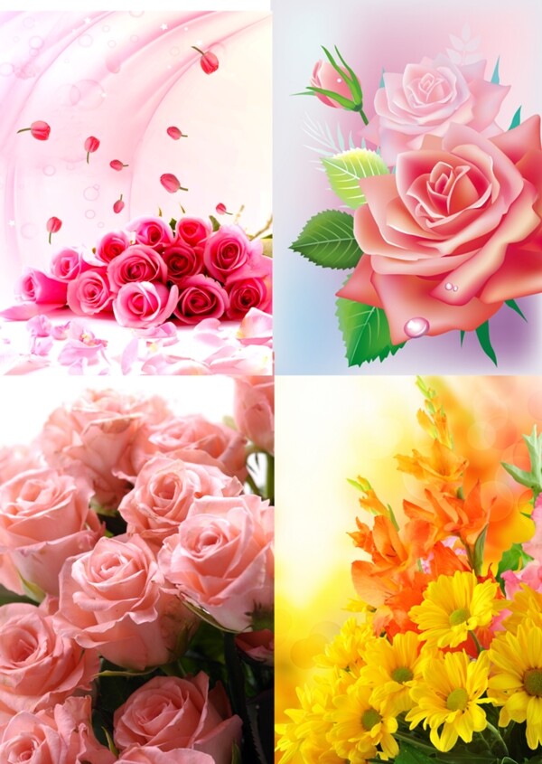 玫瑰花