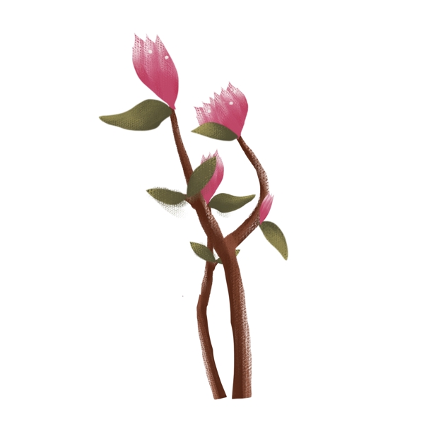 手繪花卉png素材