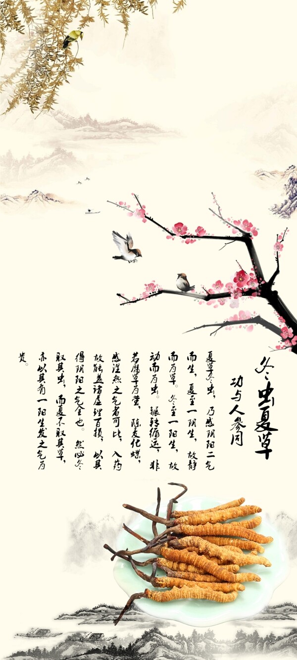 冬蟲(chóng)夏草海報(bào)