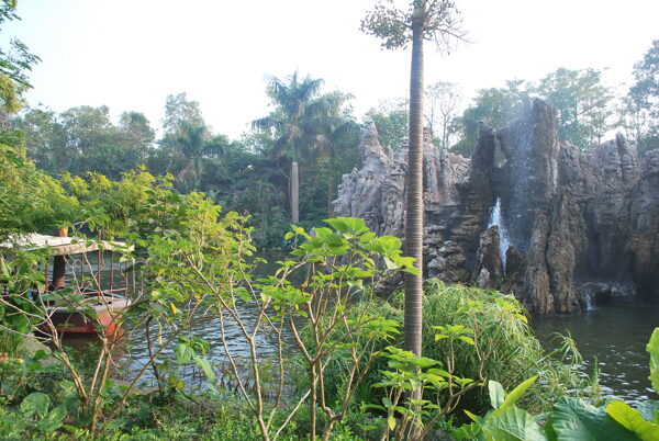 樹植物水風景