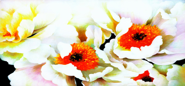 无框画花卉图片
