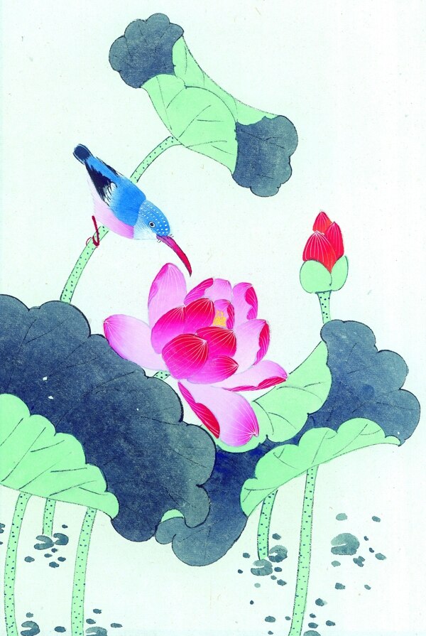 荷花彩繪圖