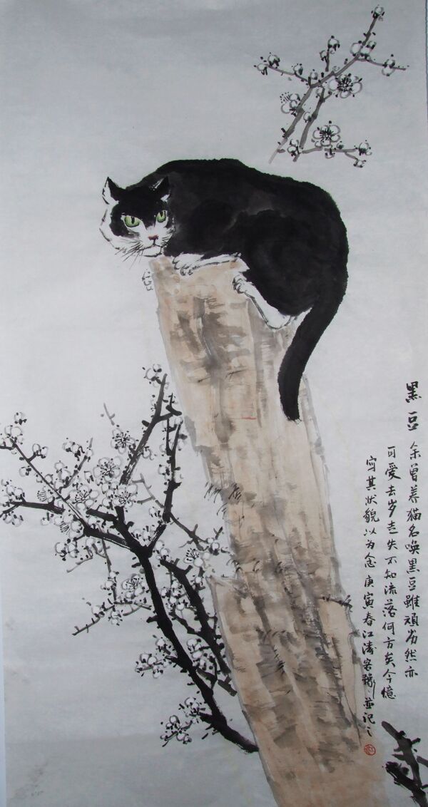 黑豆圖片