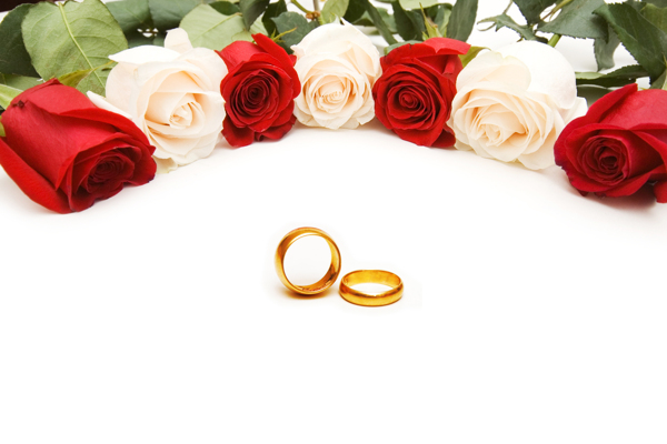 金戒指和玫瑰图片