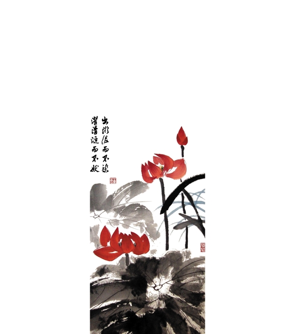花卉設(shè)計(jì)