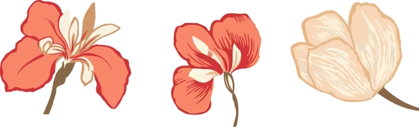 花朵底紋圖片