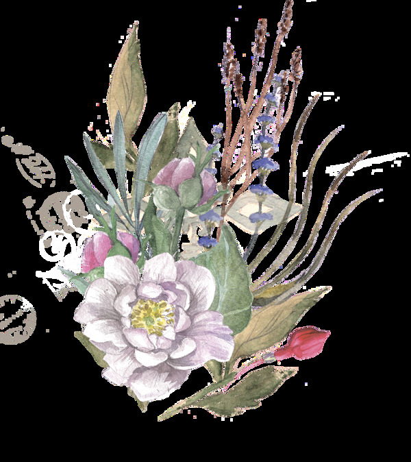 潔白花卉透明素材