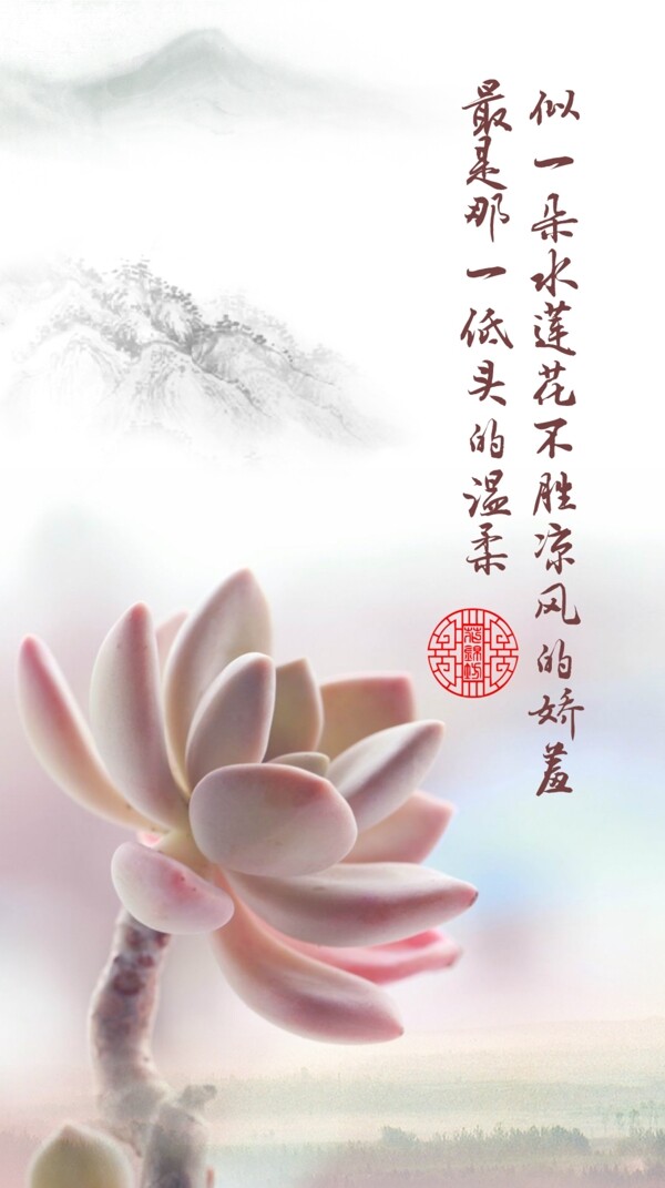 多肉植物海報