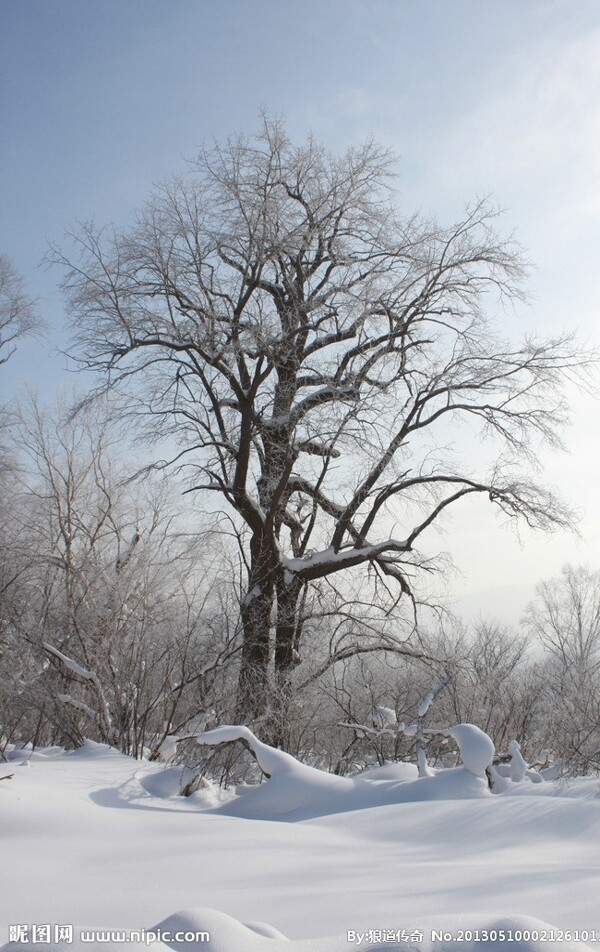 雪景圖片