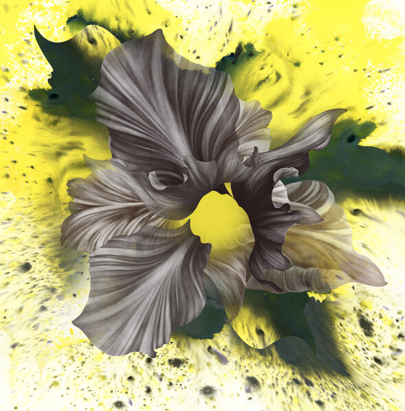 位圖插畫時尚插畫植物插畫植物插畫免費素材