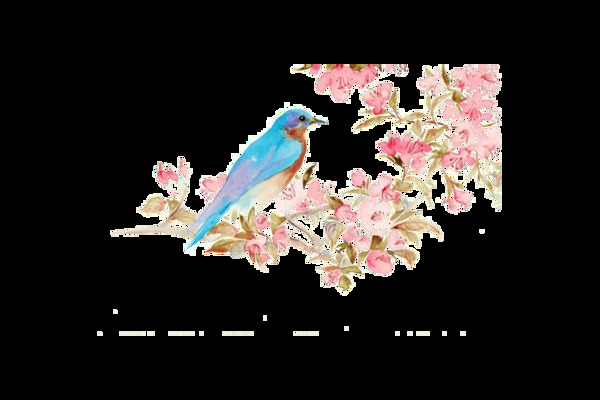 清新粉色花朵小鳥元素