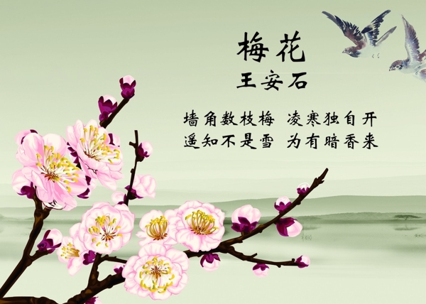 梅花