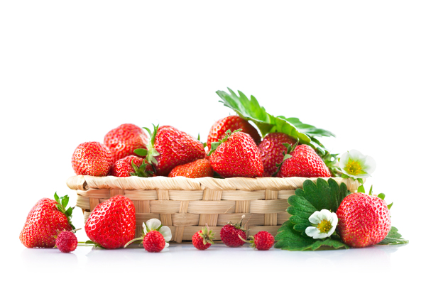 一篮子新鲜的草莓