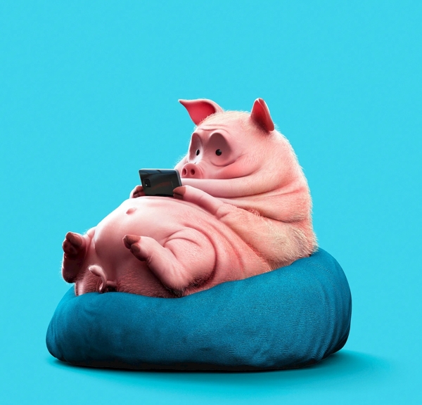 小肥猪看手机