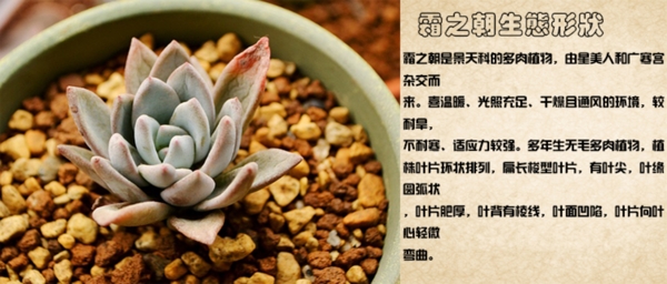 淘寶素材直通車主圖寶貝主圖