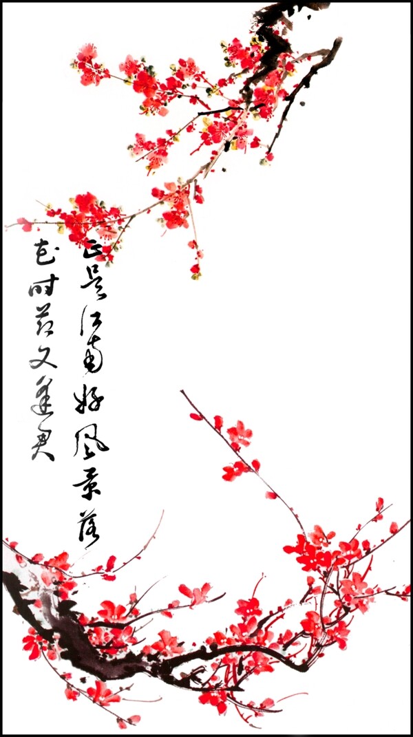 花紋