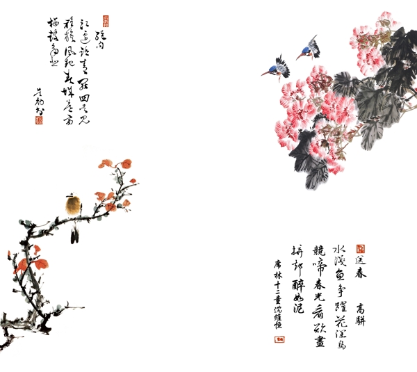花鳥圖圖片