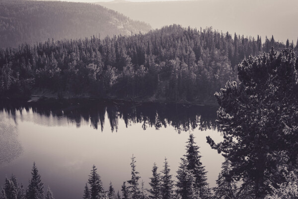 森林湖畔图片