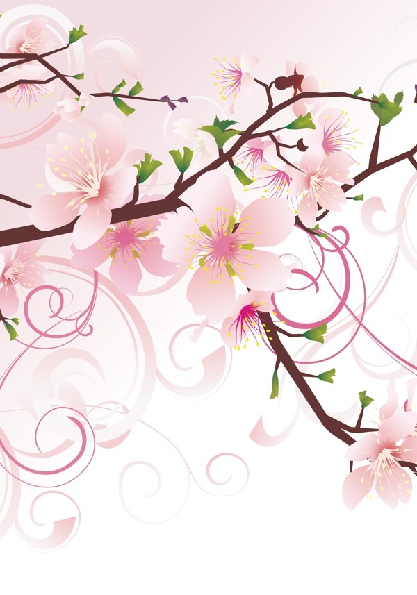 粉红色樱花背景装饰