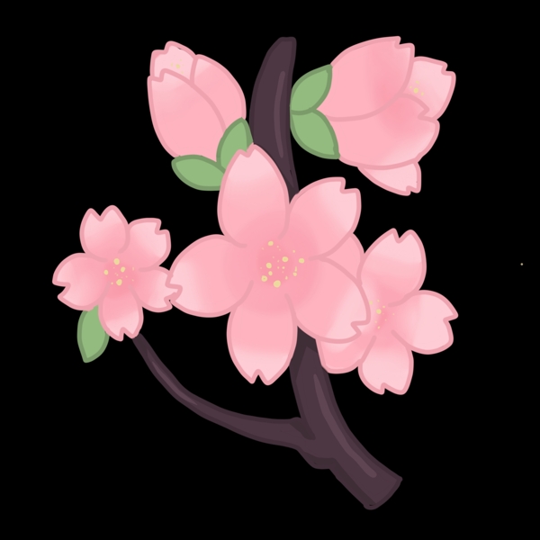 粉色的櫻花裝飾插畫