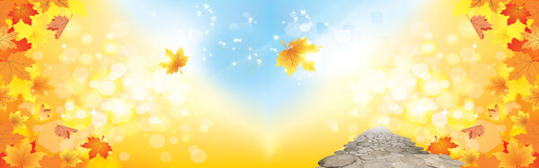 秋季秋裝金色背景banner