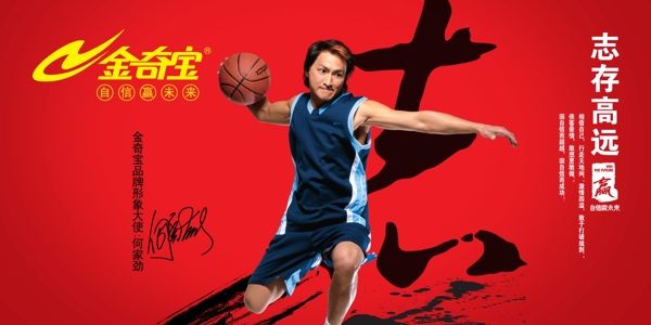 金奇寶圖片