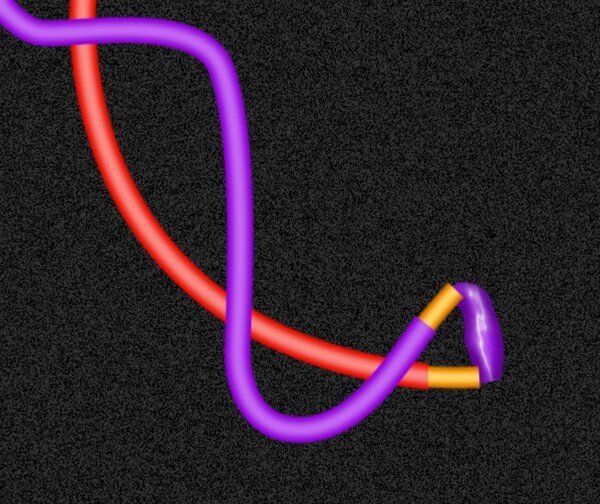 電線