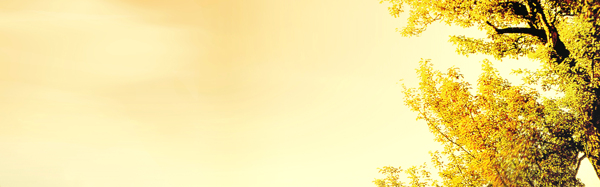 女裝
