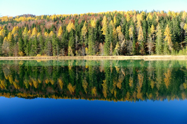 平静的湖泊风景图片